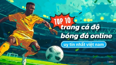 Trang cá cược bóng đá hot nhất: Trangcacuocbongda.lat